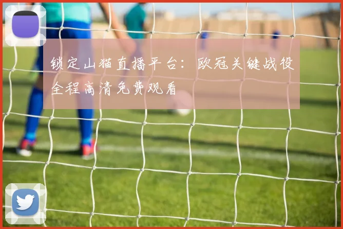 锁定山猫直播平台：欧冠关键战役全程高清免费观看