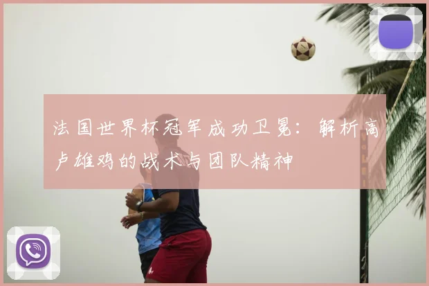 法国世界杯冠军成功卫冕：解析高卢雄鸡的战术与团队精神