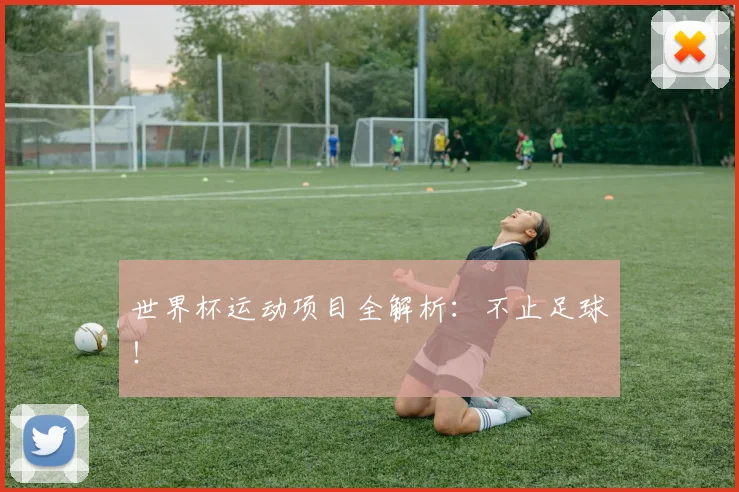 世界杯运动项目全解析：不止足球！
