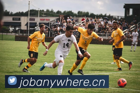 九游网页版官网APP 封面图